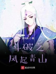 《(斗破同人)斗破之风起青山》