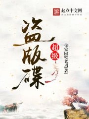 《超级盗版碟》