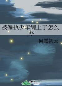《被偏执少年缠上了怎么办》