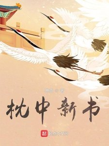《枕中新书》