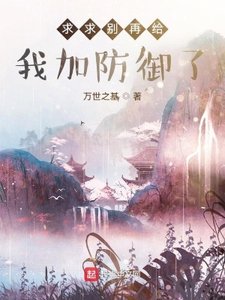 《求求别再给我加防御了》