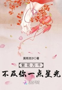 《繁花万千不及你一点星光》
