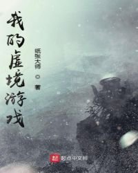 《我的虚境游戏》