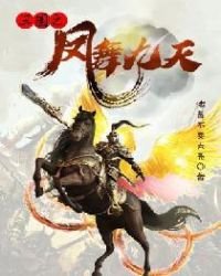 《三国之凤舞九天》