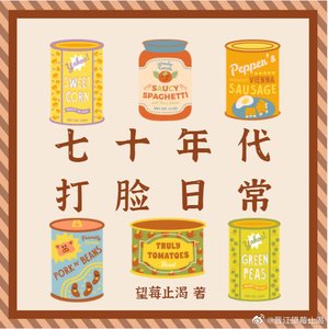 《七十年代打脸日常》