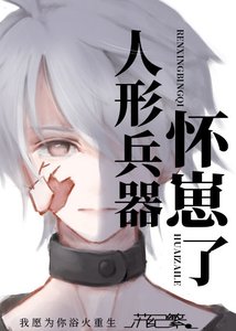 《人形兵器怀崽了》