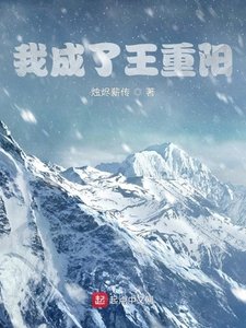 《我成了王重阳》
