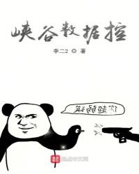 《峡谷数据控》