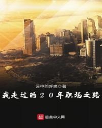 《我走过的20年职场之路》