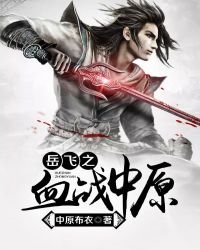 岳飞之血战中原