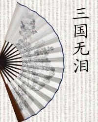 《三国无泪》