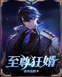《至尊狂婿》