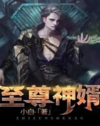 《至尊神婿》