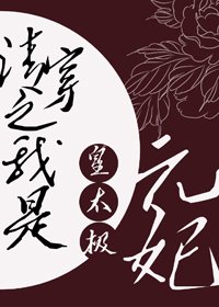 《清穿之我是皇太极元妃》