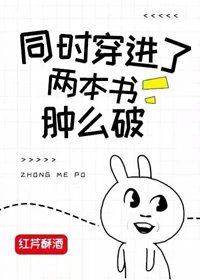 《同时穿进了两本书肿么破?》