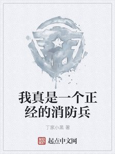 《我真是一个正经的消防兵》