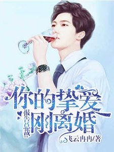 《报告总裁:你的挚爱刚离婚》