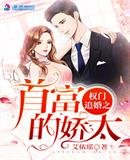 《权门追婚之首富的娇太》