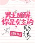 《男主醒醒你是女主的!》