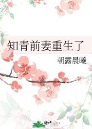 《知青前妻重生了》