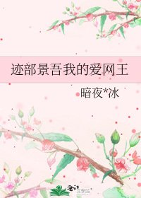 《迹部景吾我的爱网王》