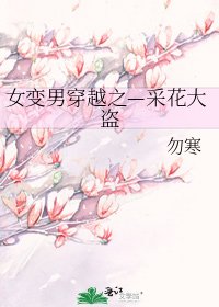 《女变男穿越之—采花大盗》