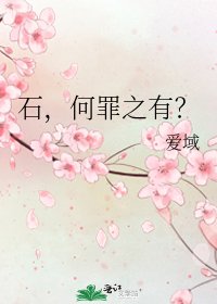 《石,何罪之有?》