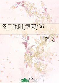 冬日暖阳[幸菊/36]