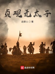 《贞观无太子》