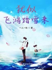 《犹似飞鸿踏雪来》