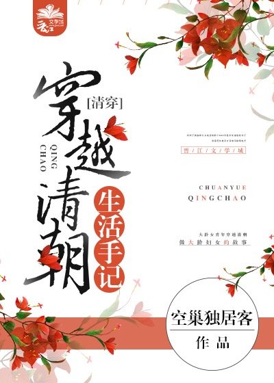 《穿越清朝生活手记(清穿)》