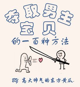 《夺取男主宝贝的一百种方法》