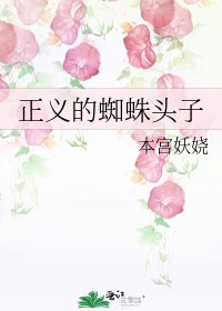 正义的蜘蛛头子