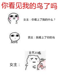 《你看见我的鸟了吗(校对版)》