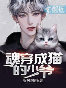 《魂穿成猫的少爷》