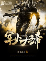 《军火大皇帝》