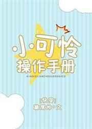 《小可怜操作手册》