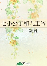 《七小公子和九王爷》