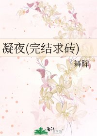 《凝夜(求砖)》