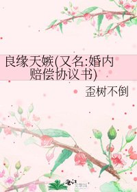 《良缘天嫉(又名:婚内赔偿协议书)》