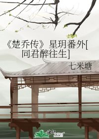 《楚乔传》