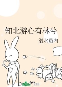 《知北游心有林兮》