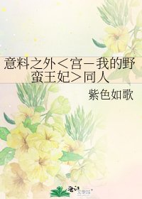《意料之外<宫-我的野蛮王妃>同人》