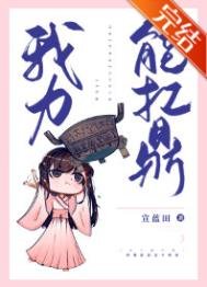 《我力能扛鼎》