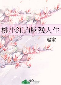 《桃小红的脑残人生》