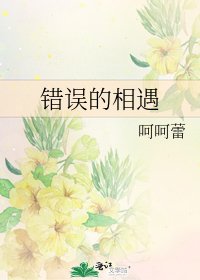 《错误的相遇》