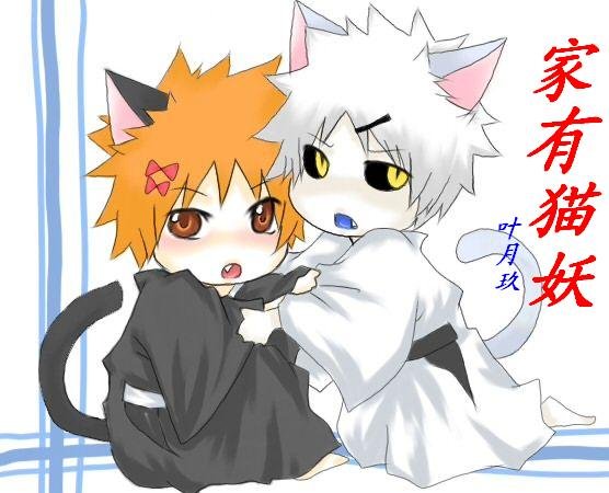 （死神白一同人）家有猫妖