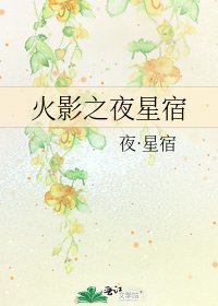 火影之夜星宿