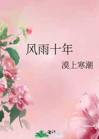 《风雨十年》