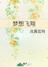 梦想飞翔
